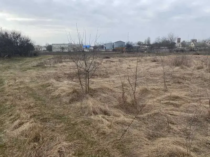 продаж ділянка сільськогосподарського призначення Петриківський, Петриківка, 10259 грн.