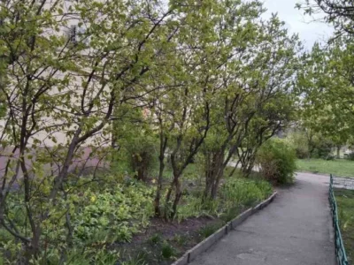 довгострокова оренда 1-к квартира Київ, Дніпровський, 8500 грн./міс.