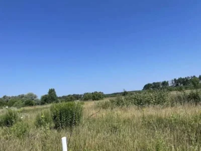продаж ділянка сільськогосподарського призначення Броварський, Рожівка, 528301 грн.