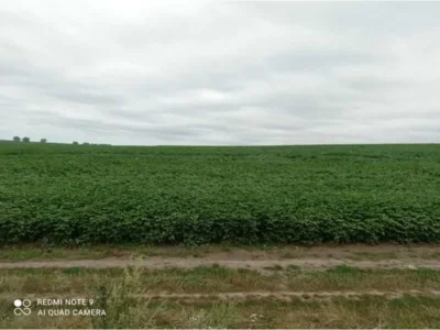 продаж ділянка сільськогосподарського призначення Волочиський, Писарівка, 120015 грн.