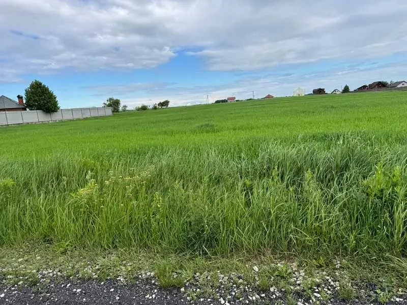 продаж ділянка під житлову забудову Бориспільський, Велика Стариця, 256982 грн.