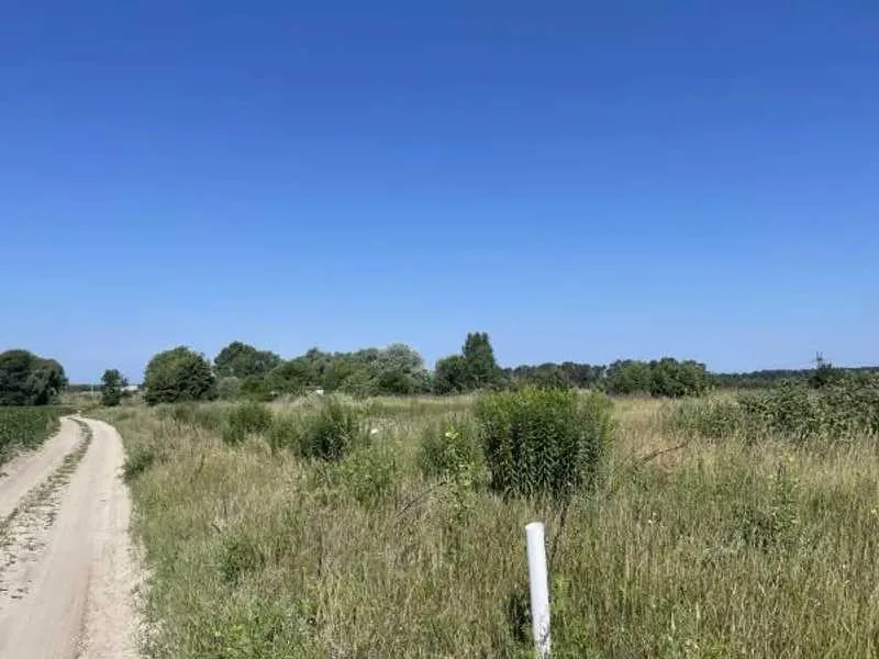 продаж ділянка сільськогосподарського призначення Броварський, Рожівка, 528301 грн.