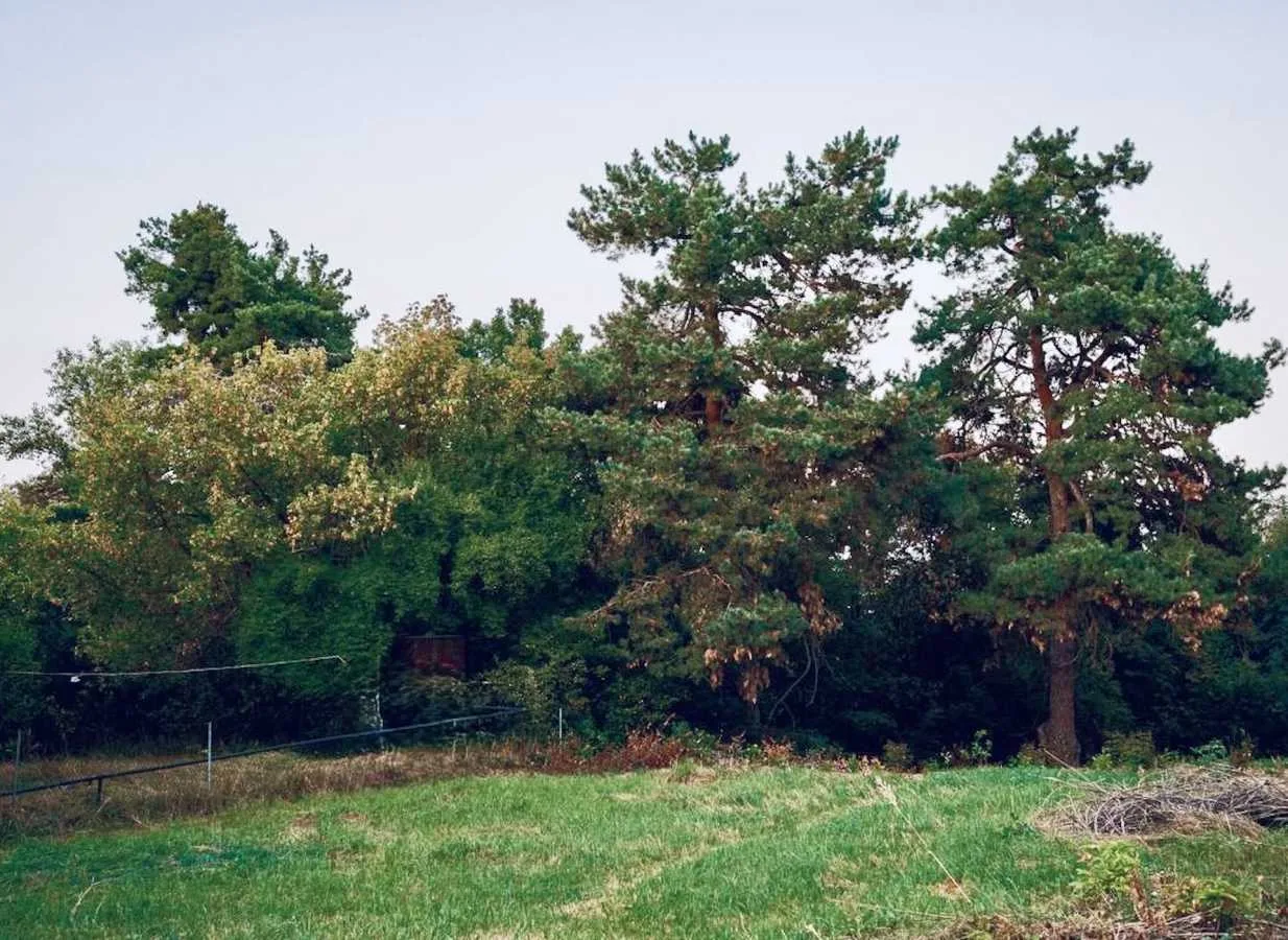 продаж ділянка під житлову забудову Обухівський, Плюти, 99000 $