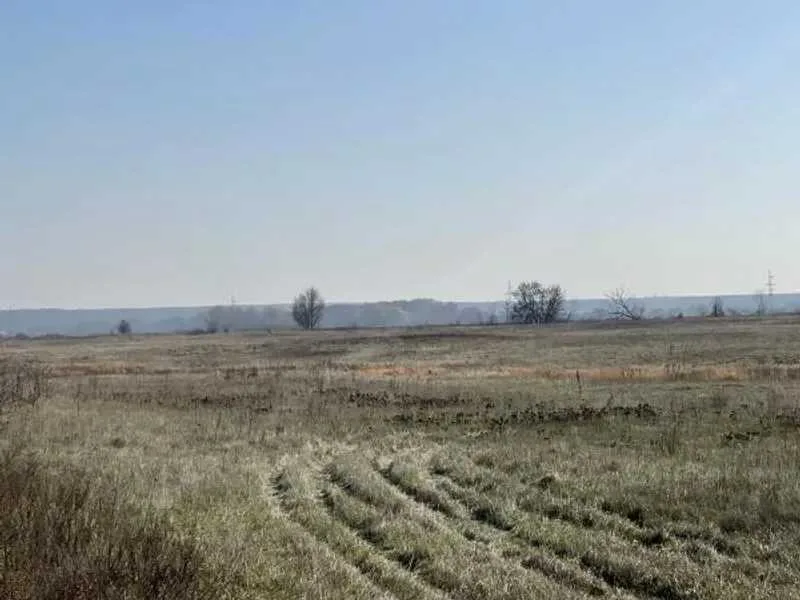 продаж ділянка сільськогосподарського призначення Броварський, Пухівка, 145733 грн.