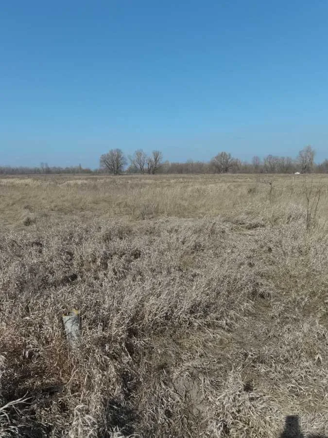 продаж ділянка сільськогосподарського призначення Броварський, Погреби, 15000 $