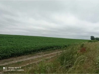 продаж ділянка сільськогосподарського призначення Волочиський, Писарівка, 120015 грн.