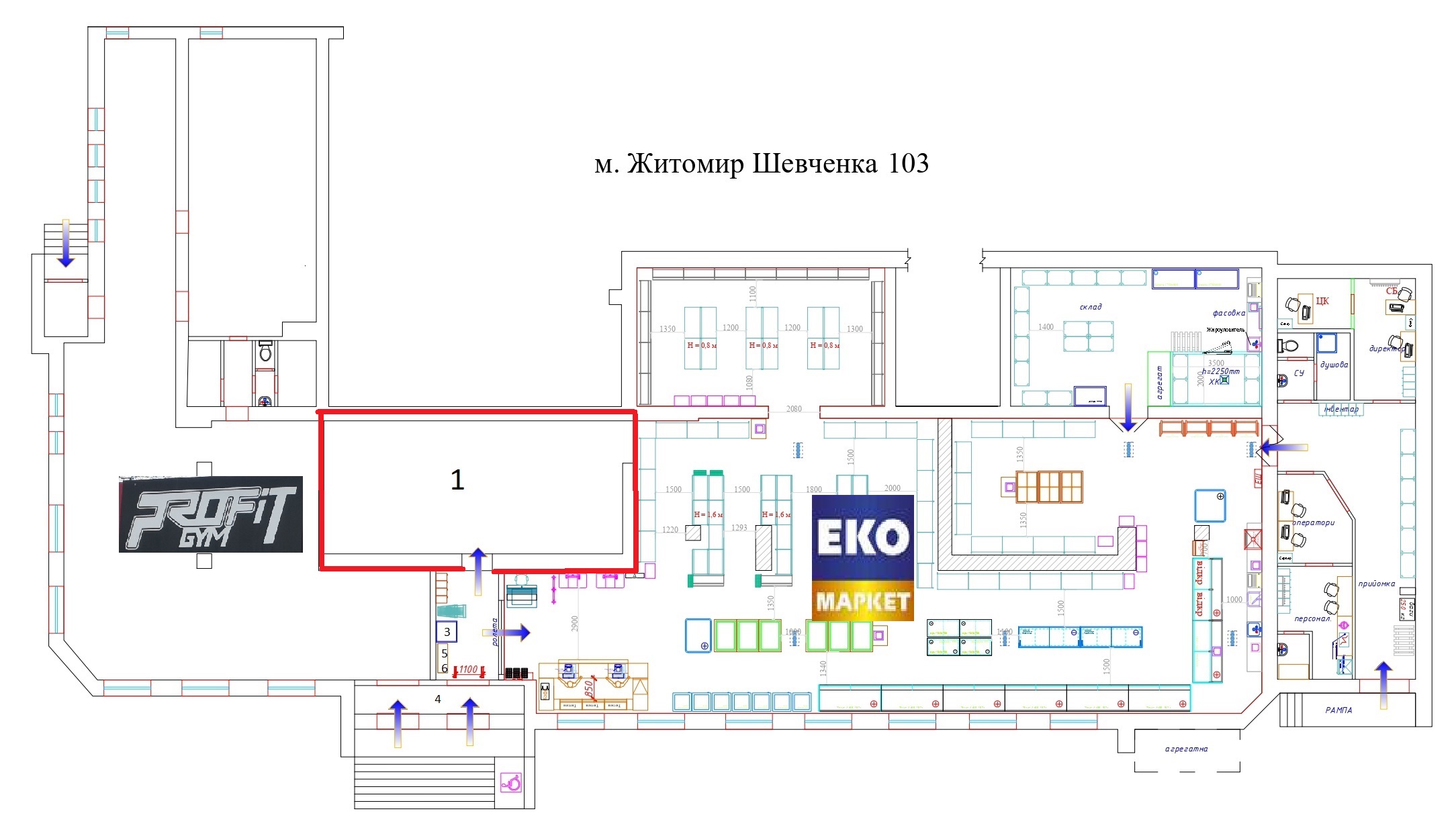 Житомир, вул. Шевченка, 103 (ЕКО-маркет), приміщення 67 м2