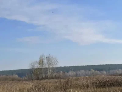 продаж ділянка сільськогосподарського призначення Броварський, Пухівка, 218841 грн.