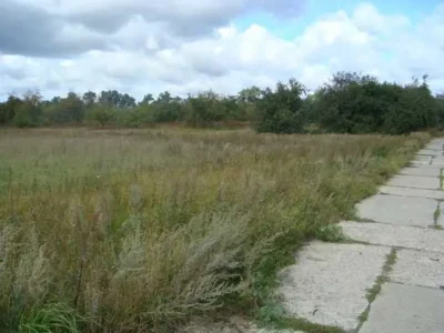 Продаж ділянок в с. Мироцьке (від 20 соток до 3 га.)