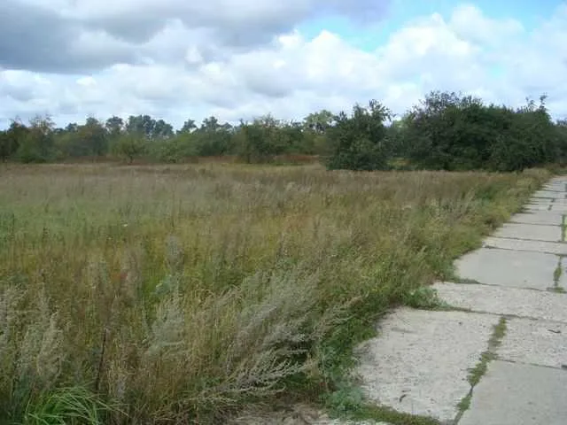 Продаж ділянок в с. Мироцьке (від 20 соток до 3 га.)