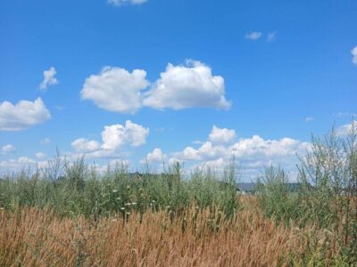 Продаж земельної ділянки
