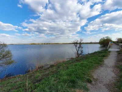 продаж ділянка комерційного призначення Білоцерківський, Трушки, 265000 $