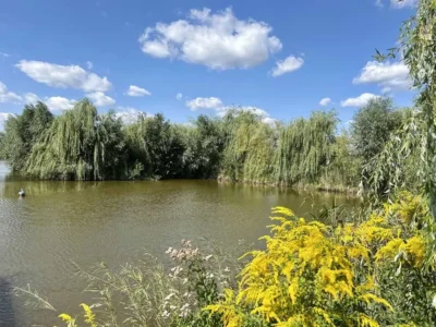 продаж ділянка сільськогосподарського призначення Києво-Святошинський, Білогородка, 850000 $
