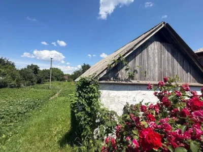 продаж ділянка під житлову забудову Бориспільський, Гора, 180400 $