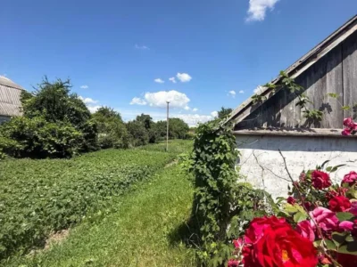 продаж ділянка під житлову забудову Бориспільський, Гора, 180400 $