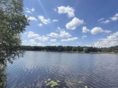 продаж ділянка сільськогосподарського призначення Вишгородський, Хотянівка, 150000 $