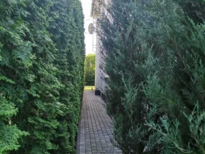 продаж 5-к будинок Вишгородський, Вишгород, 380000 $