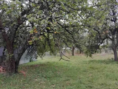 продаж ділянка під житлову забудову Мукачівський, Обава, 39000 $