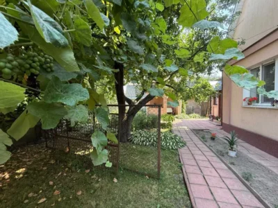 продаж 3-к будинок Вишгородський, Нові Петрівці, 125000 $