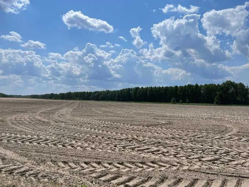 продаж ділянка сільськогосподарського призначення Макарівський, Мар`янівка, 174000 грн.