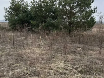 продаж ділянка під житлову забудову Броварський, Рожівка, 10500 $