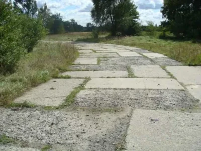 Продаж ділянок в с. Мироцьке (від 20 соток до 3 га.)