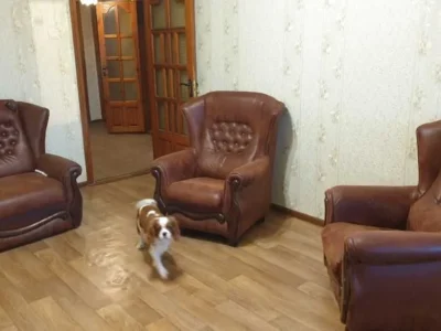 довгострокова оренда 2-к квартира Одеса, Хаджибейський, 9500 грн./міс.