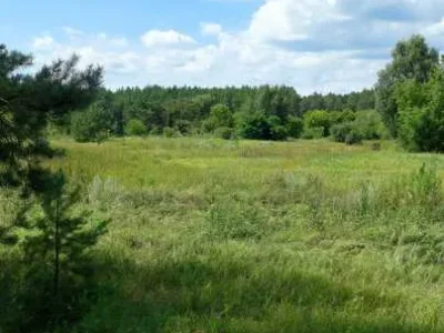 продаж ділянка сільськогосподарського призначення Козелецький, Остер, 15000 $
