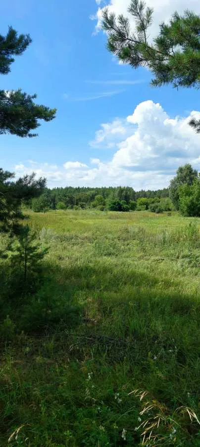 продаж ділянка сільськогосподарського призначення Козелецький, Остер, 15000 $