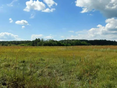 продаж ділянка сільськогосподарського призначення Козелецький, Остер, 15000 $