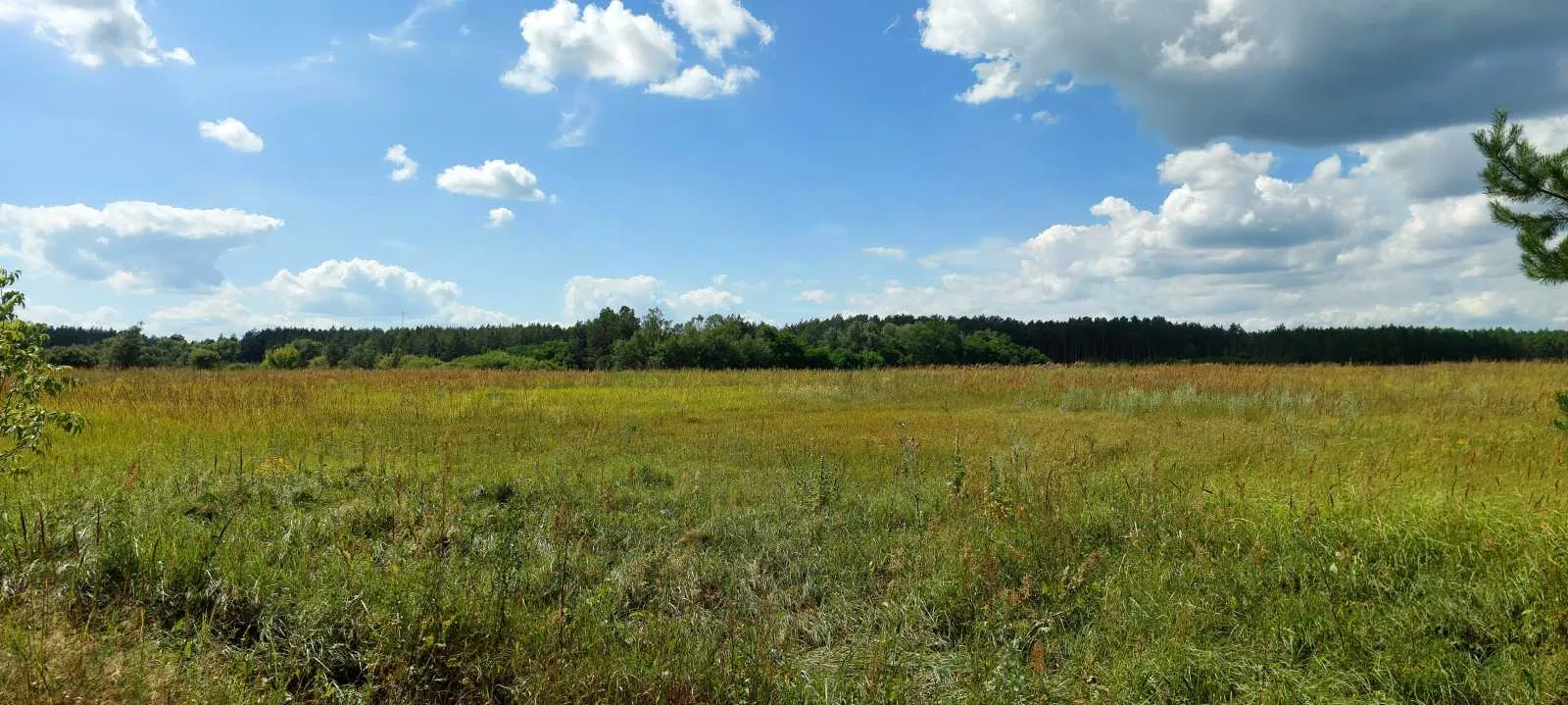 продаж ділянка сільськогосподарського призначення Козелецький, Остер, 15000 $