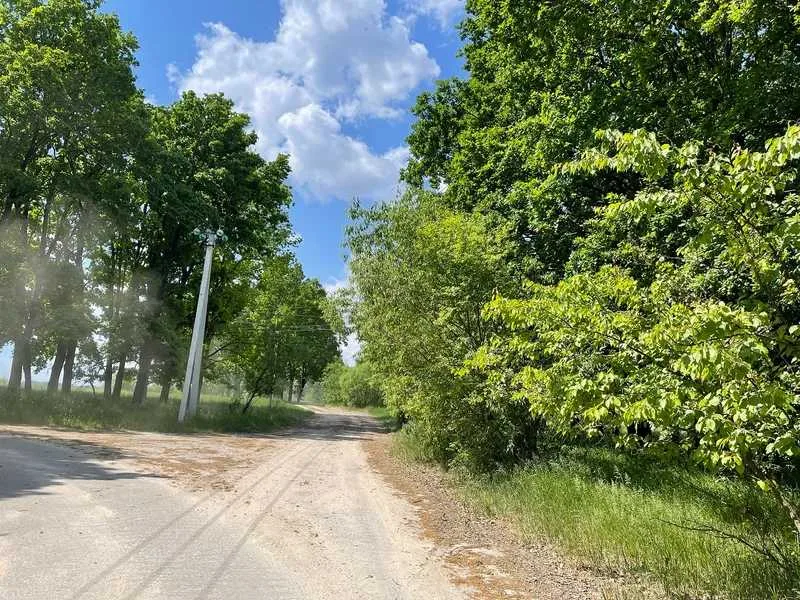 продаж ділянка сільськогосподарського призначення Макарівський, Мар`янівка, 174000 грн.