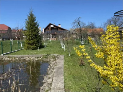 продаж 10-к будинок Хустський, Хуст, 135000 $