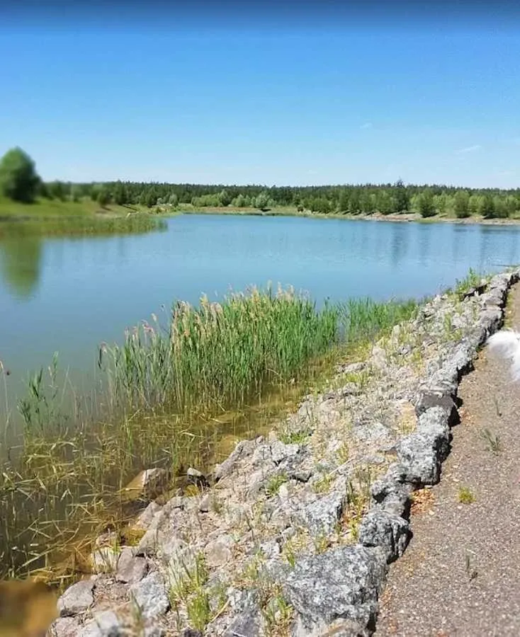 продаж 3-к будинок Макарівський, Колонщина, 85000 $