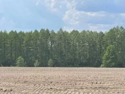 продаж ділянка сільськогосподарського призначення Макарівський, Мар`янівка, 174000 грн.