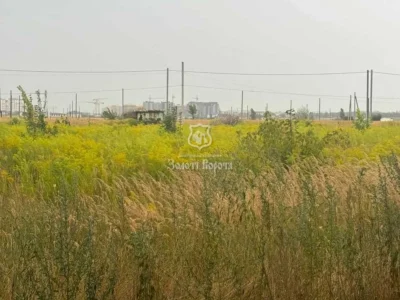 продаж ділянка під житлову забудову Києво-Святошинський, Петропавлівська Борщагівка, 80000 $
