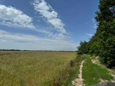 продаж ділянка під житлову забудову Бориспільський, Велика Олександрівка, 38829200 грн.
