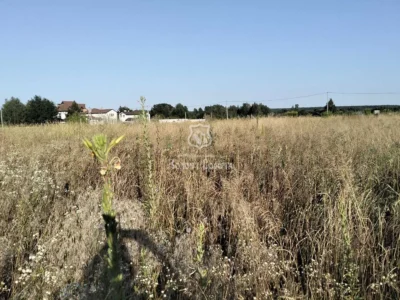 продаж ділянка під житлову забудову Броварський, Пухівка, 29500 $