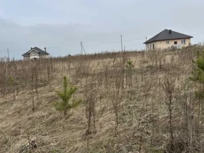 продаж ділянка під житлову забудову Броварський, Рожівка, 10500 $