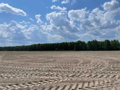 продаж ділянка сільськогосподарського призначення Макарівський, Мар`янівка, 174000 грн.