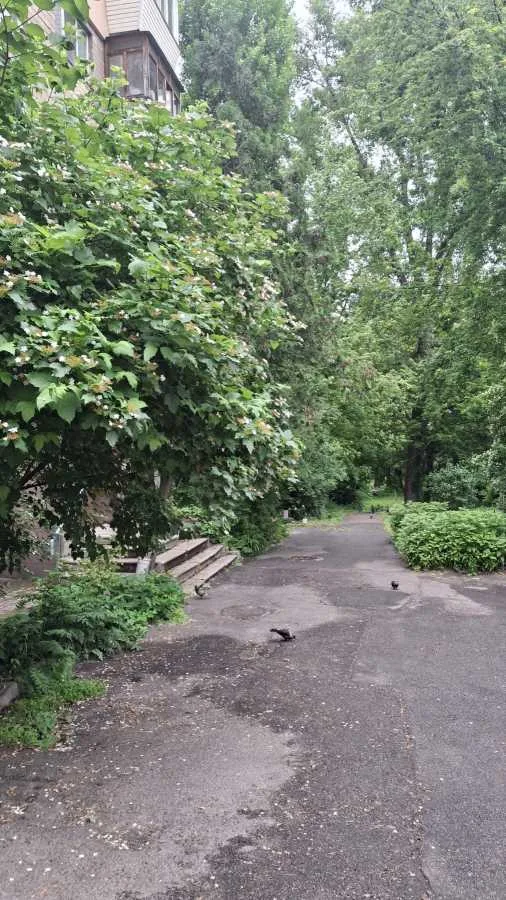 продаж 1-к квартира Київ, Солом`янський, 45000 $