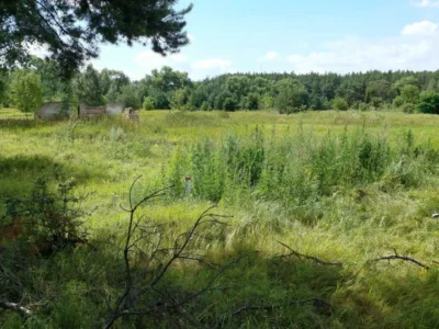 продаж ділянка сільськогосподарського призначення Козелецький, Остер, 15000 $