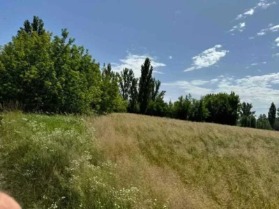продаж ділянка під житлову забудову Бориспільський, Велика Олександрівка, 38829200 грн.