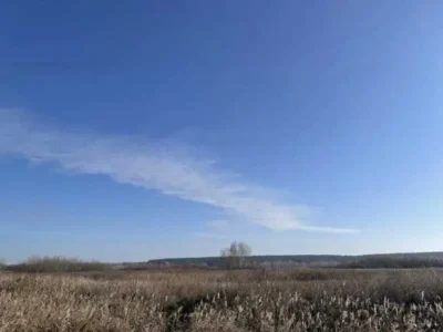 продаж ділянка сільськогосподарського призначення Броварський, Пухівка, 218841 грн.