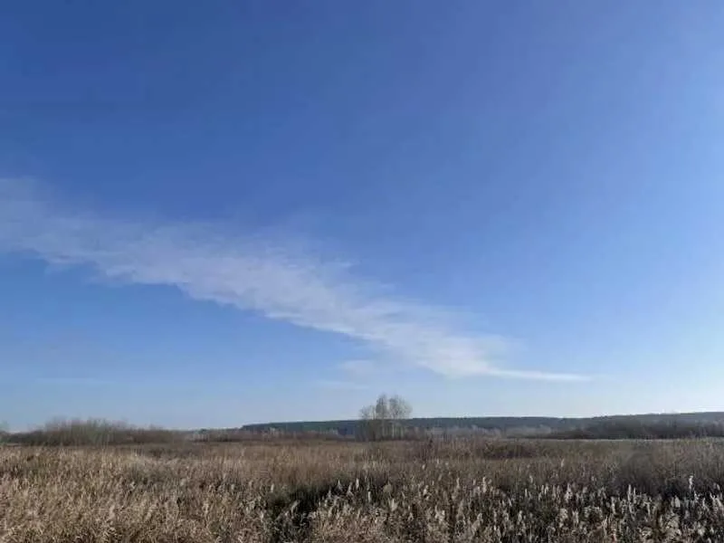 продаж ділянка сільськогосподарського призначення Броварський, Пухівка, 218841 грн.