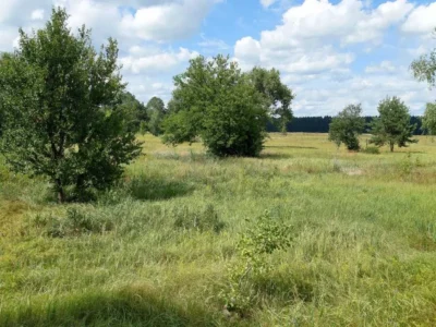 продаж ділянка сільськогосподарського призначення Козелецький, Остер, 15000 $