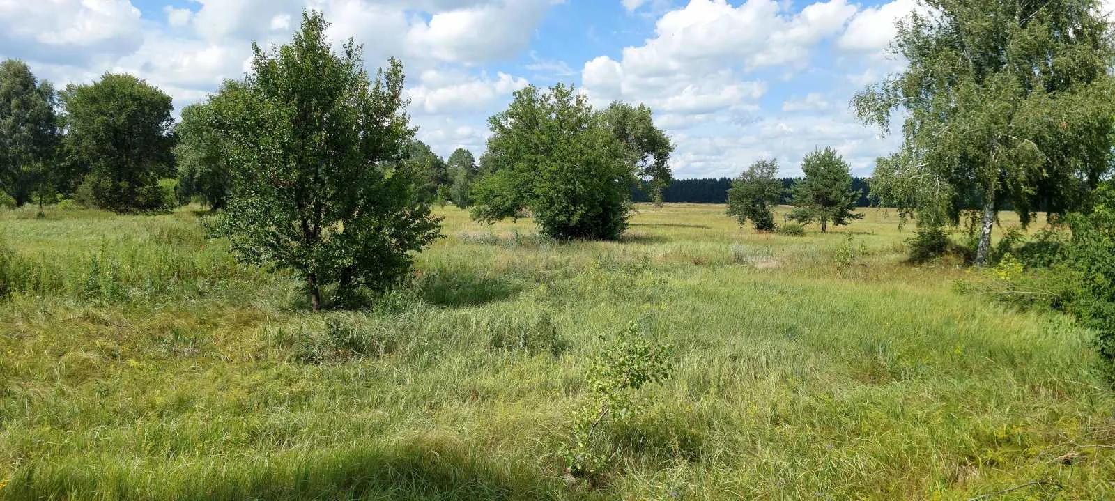 продаж ділянка сільськогосподарського призначення Козелецький, Остер, 15000 $