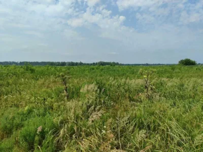 продаж ділянка сільськогосподарського призначення Бородянський, Озера, 256500 грн.