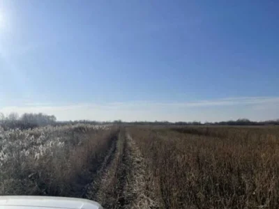 продаж ділянка сільськогосподарського призначення Броварський, Пухівка, 218841 грн.