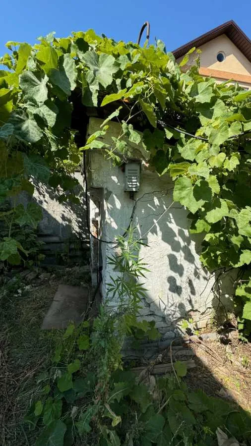 продаж 4-к будинок Броварський, Велика Димерка, 40000 $